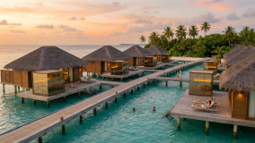 Tropische Entspannung